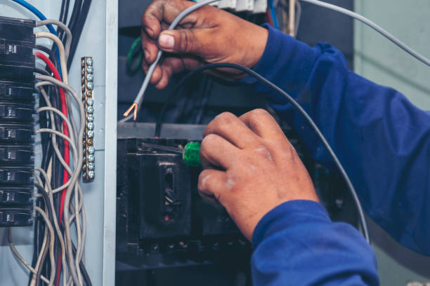 Best Electric Panel Repair  in Olga, FL